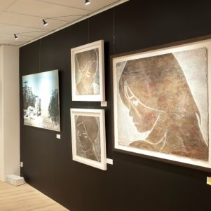 Galerie met de Combi Rail Pro Light LED